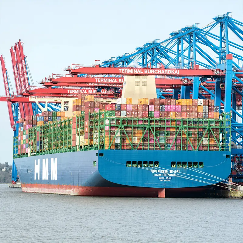 Exportaciones LTA Consultora